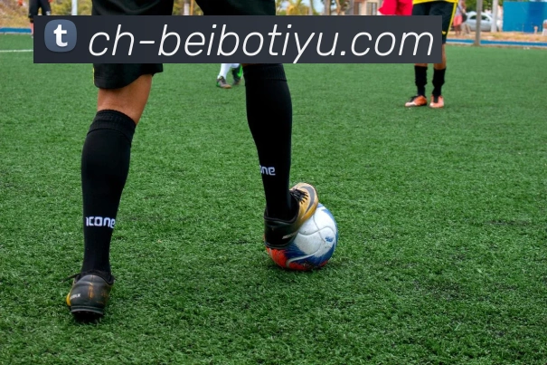 贝博体育平台生态图